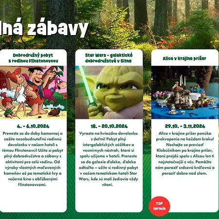Hotel Sitno Forest - Family Friendly Vyhne